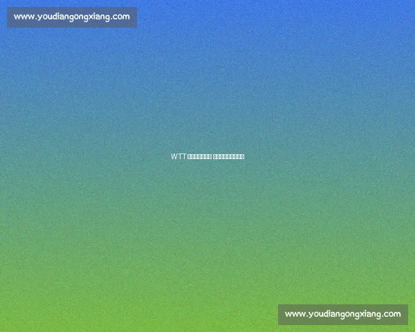 WTT 阿拉木图站收官 中国队两冠四亚落幕