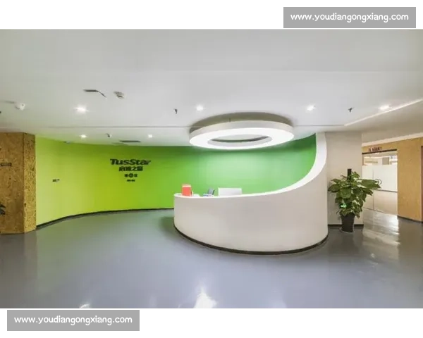 松达尔VS的技术创新与发展趋势探析：从市场需求到未来应用前景